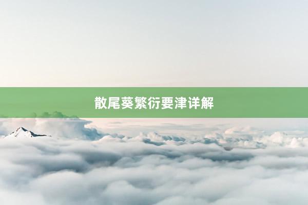 散尾葵繁衍要津详解