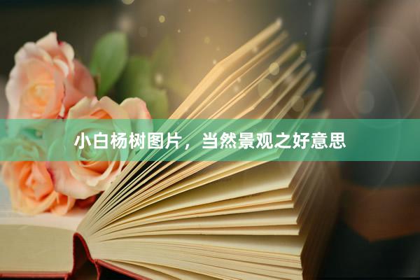 小白杨树图片，当然景观之好意思