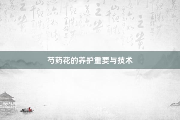 芍药花的养护重要与技术
