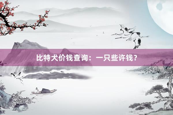 比特犬价钱查询：一只些许钱？